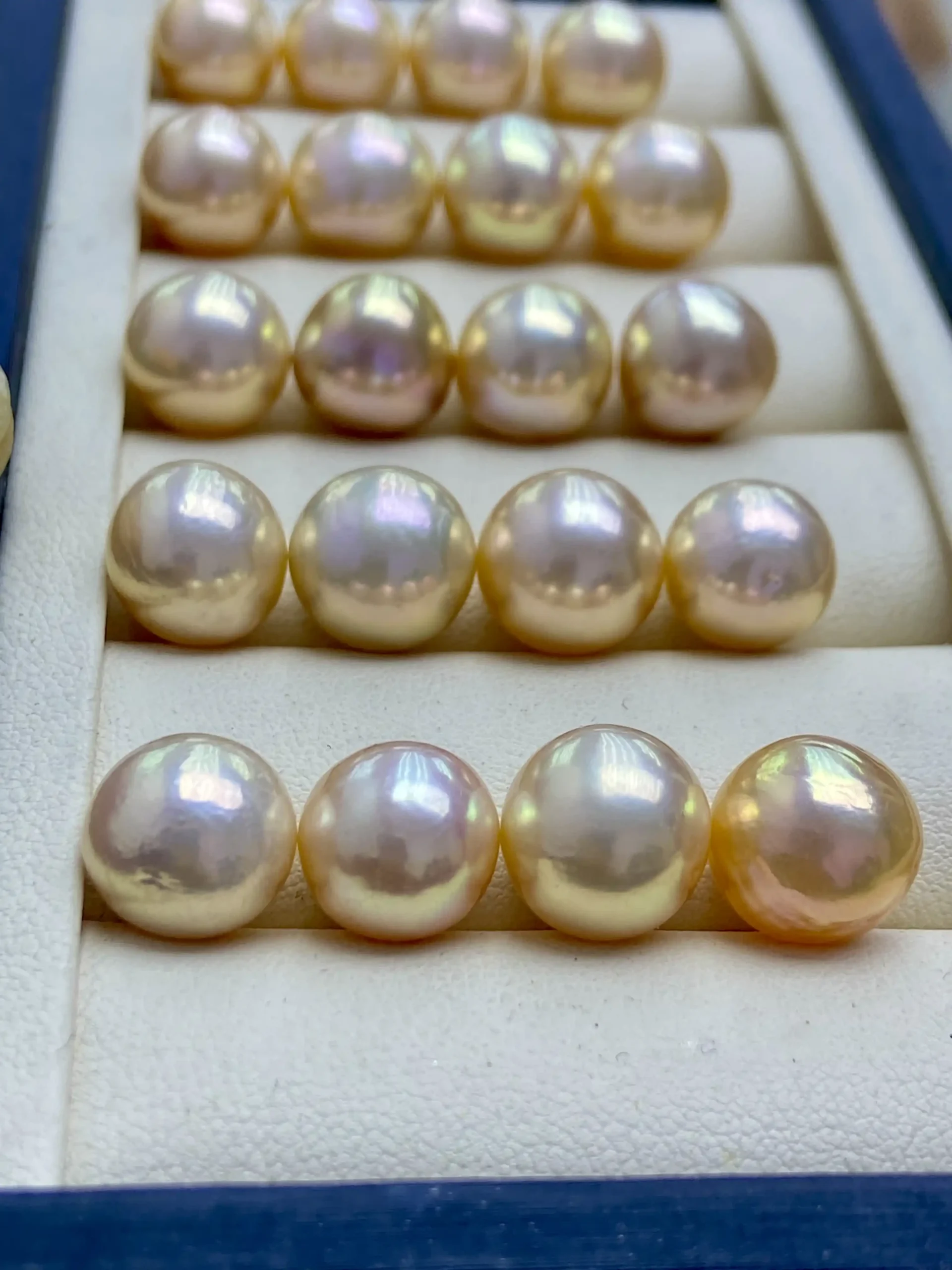 Light Gold Freshwater Pearls