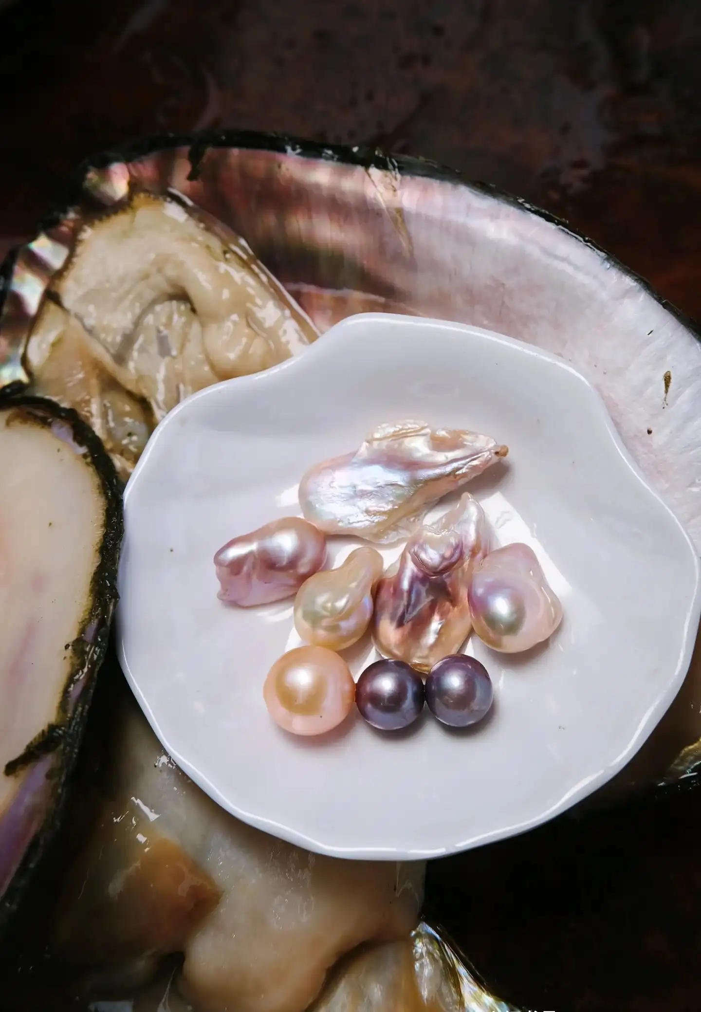Saltwater vs Freshwater Pearls & the Rise of Edison Pearl - Raffie Pearls