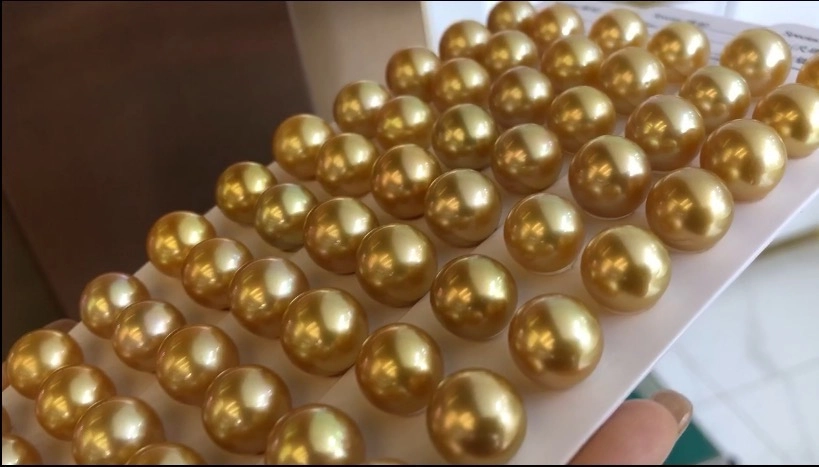 Southsea Golden Pearls