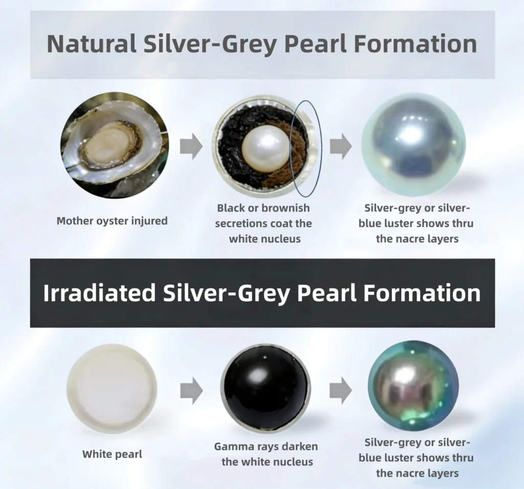 Irradiated Pearl Formation vs Natural Grey Pearl Formation