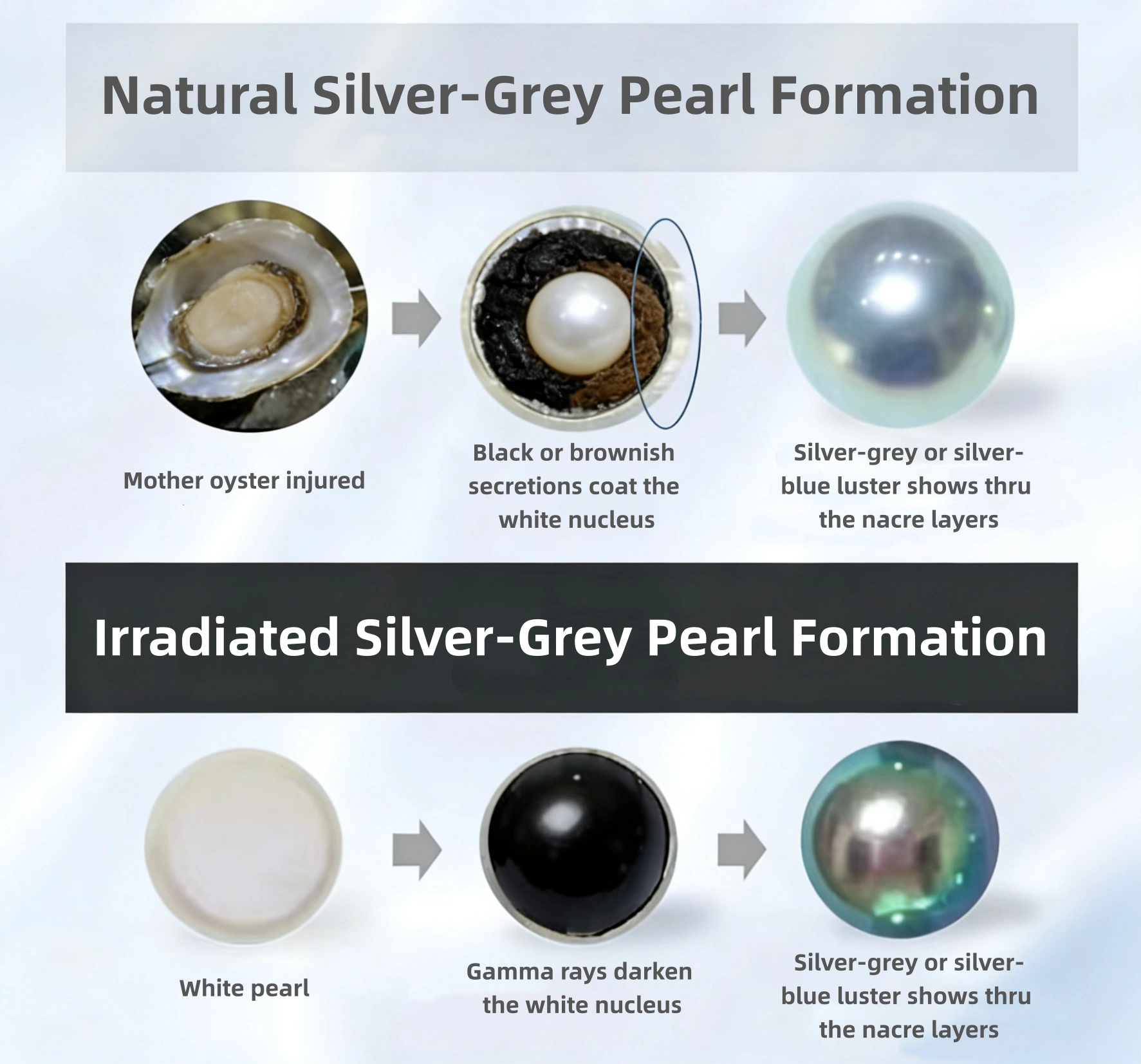 Diagram illustrating the pearl irradiation process with gamma rays