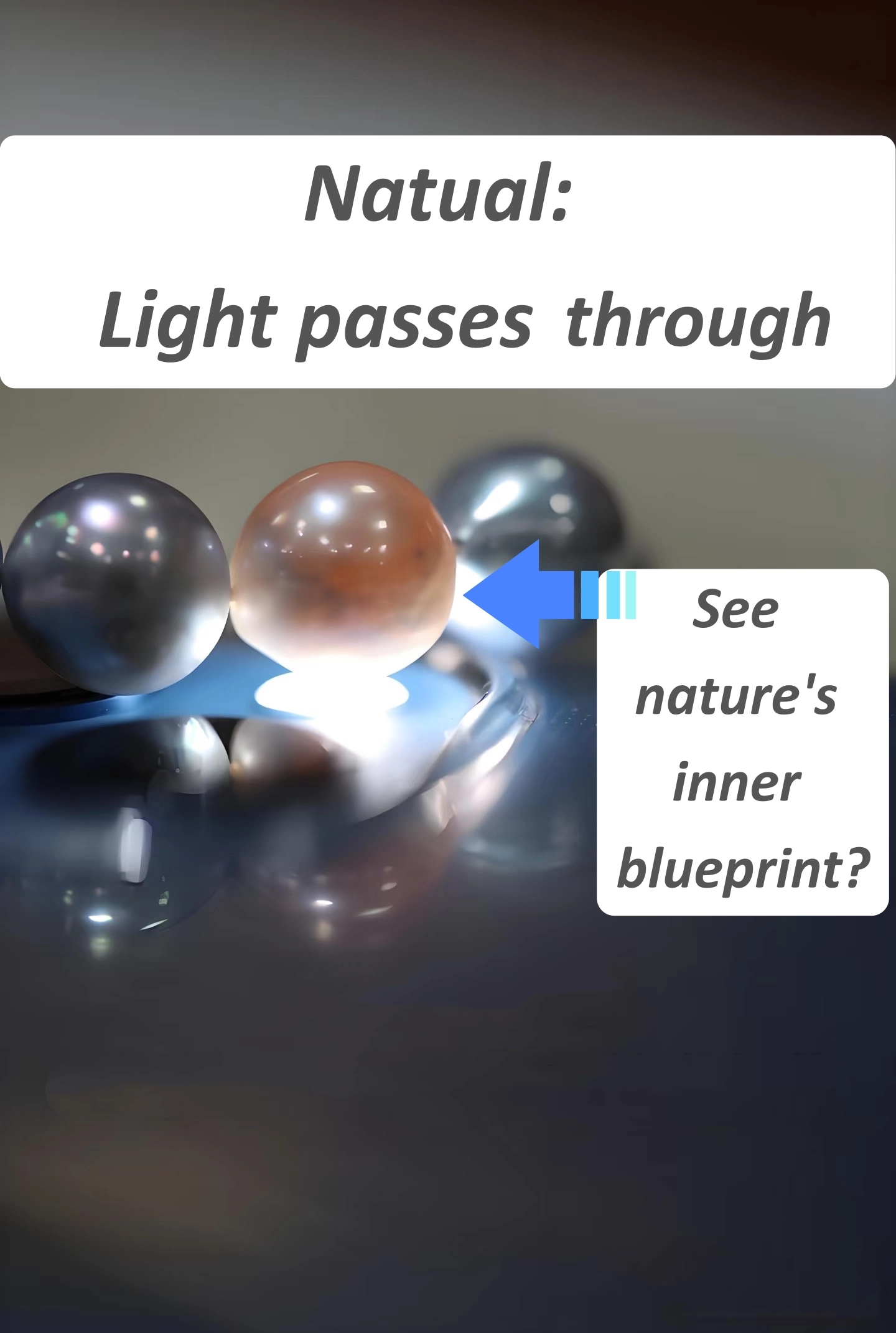 Natural grey pearl under phone flashlight showing translucency