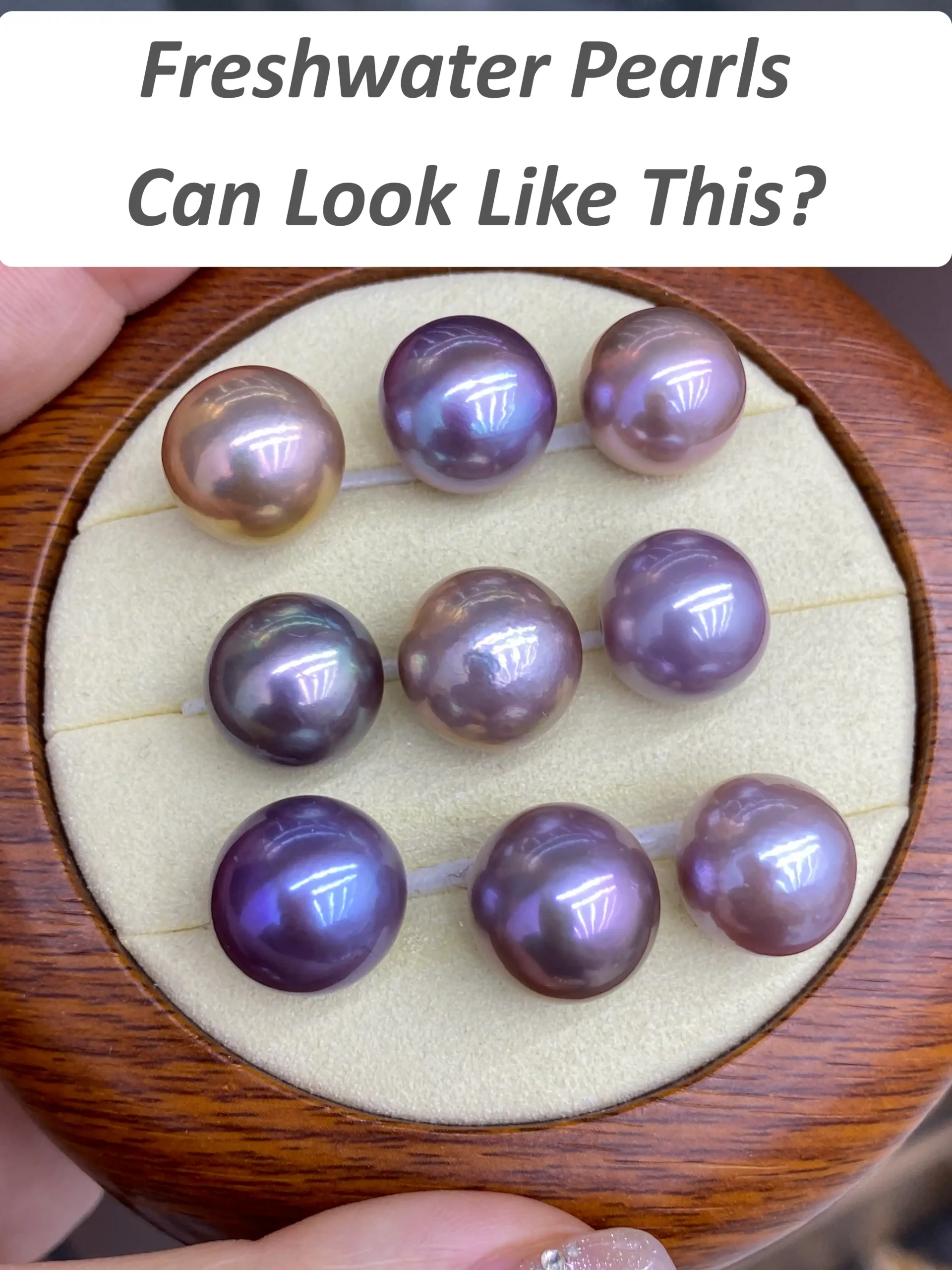 Large colorful Edison pearls in multiple natural colors