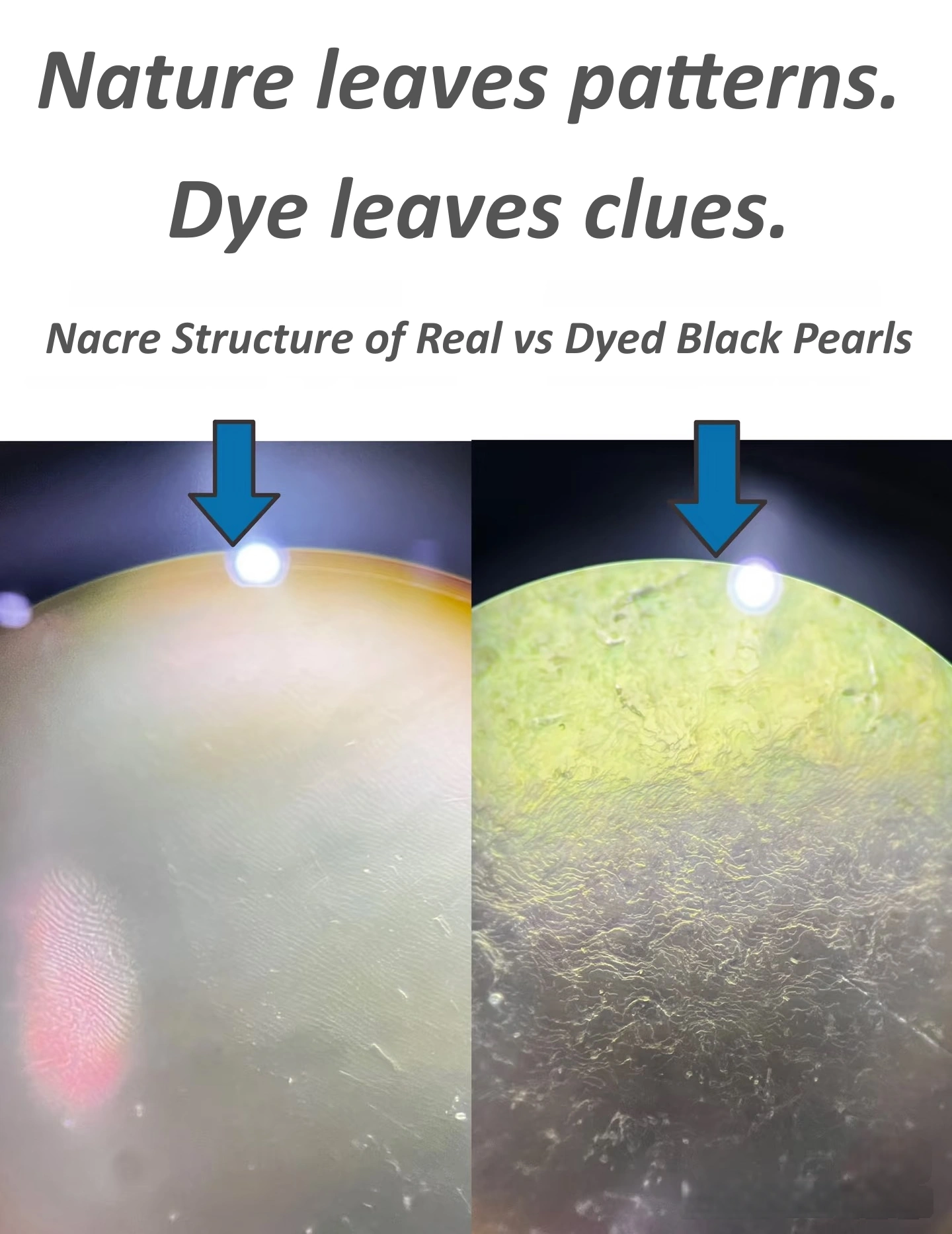 Microscopic nacre structure comparison between Tahitian pearls and dyed pearls